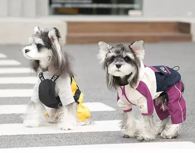 Waterproof Dog Rain Jacket – Outdoor Essential