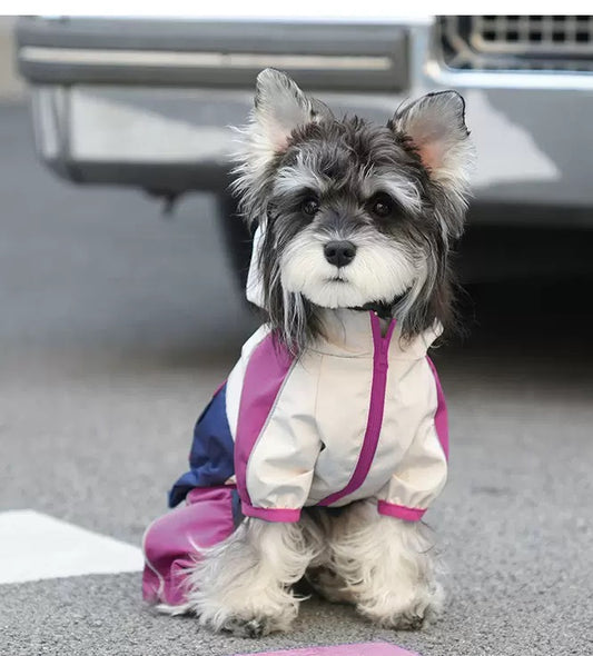 Waterproof Dog Rain Jacket – Outdoor Essential