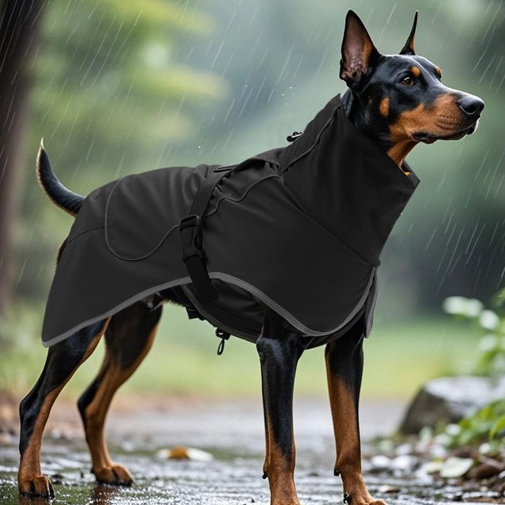 Water-Resistant Dog Outdoor Jacket – Nordic Adventure Essential