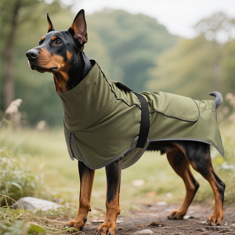 Water-Resistant Dog Outdoor Jacket – Nordic Adventure Essential